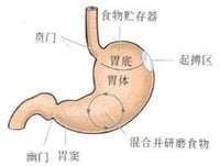 哪些原因会导致肠胃病?